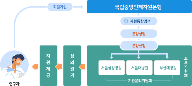 연구자가 회원가입을 신청하면 국립중앙인체자원은행에서 자원통합검색,분양상담,분양신청의 단계를 거쳐 치매뇌은행의 기관관리위원회 (서울삼성병원, 서울대병원, 부산대병원)에 전달하고 심의를 거쳐 심의결과가 나오면 연구자에게 자원을 제공한다.