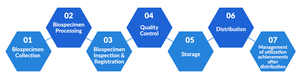 Biobanking process 01 Biospecimen Collection 02 Biospecimen Processing 03 Biospecimen Inspection & Registration 04 Quality Control 05 Storage 06 Distribution 07 Management of utilization achievements after distribution